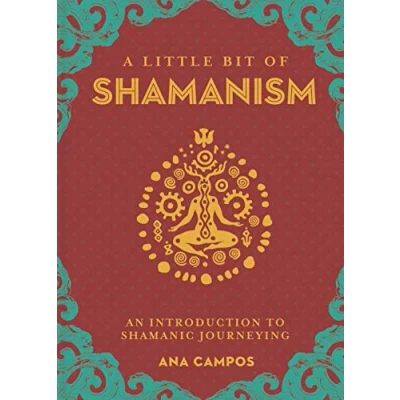 Afbeelding van Little Bit of Shamanism, A: An Introduction to Shamanic Journeying: 16