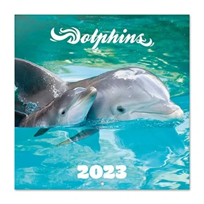 Afbeelding van Grupo Erik CP23004 Kalender 2023 Dolphins wandkalender 12 Maanden Broschürenkalender 30x30 cm Fsc gecertificeerde +Bonus 4 maanden,