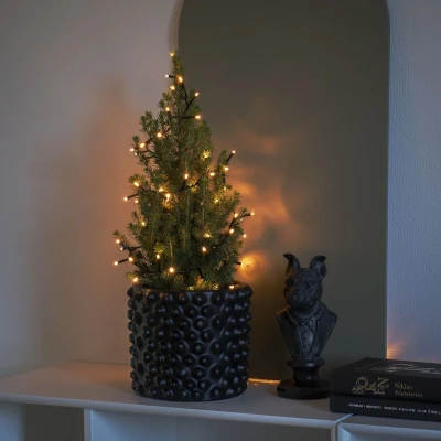 Afbeelding van Micro LED lichtketting &#039;Cluster&#039; 200 amber. 3875 800