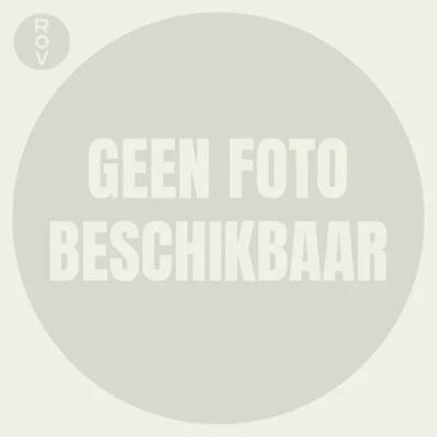 Afbeelding van Richmond Fontaine We Used To Think..