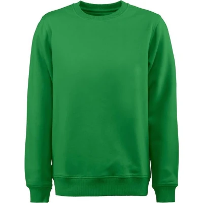 Afbeelding van Printer SWEATSHIRT SOFTBALL RSX 2262048 Frisgroen