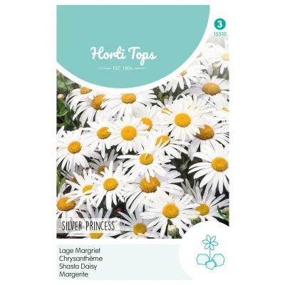 Afbeelding van Chrysanthemum, Lage Margriet Silver Princess