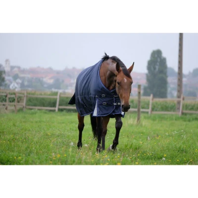 Afbeelding van Equithème PRO series &#039;Tyrex 168D&#039; Turnout Rug 0gverkocht door HypoStore
