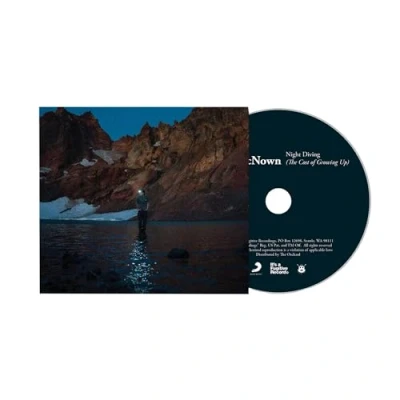 Afbeelding van Max McNown Night Diving (the Cost of Growing Up) (2 LPs)
