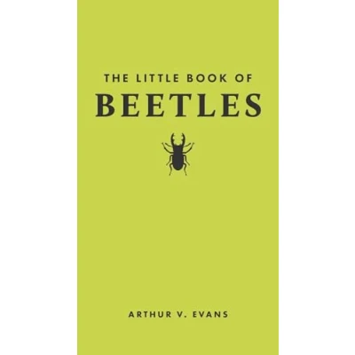 Afbeelding van The Little Book of Beetles: 2