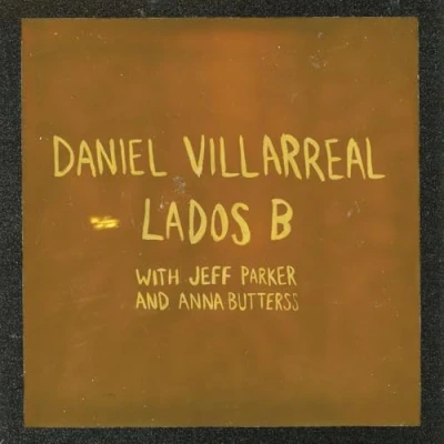 Afbeelding van Daniel Villarreal Lados B (LP)