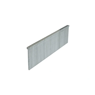 Afbeelding van Rechte Brads Verzinkt 1.6 x 20 mm Doos 2500 stuks