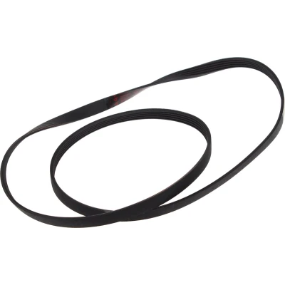 Afbeelding van Ariston Courroie poly v 1208j5 C00141664