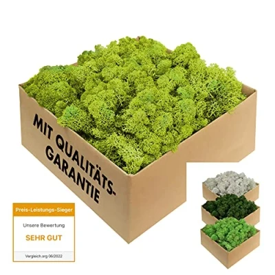 Afbeelding van GJS IJslands mos, 1 kg, 500 g of 200 g, verschillende kleuren Geconserveerd, natuurlijk mos (IJslands mos) om mee te knutselen, bijvoorbeeld voor Pasen modelbouw (lichtgroen, kg)
