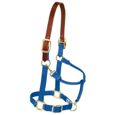 Afbeelding van Weaver Leather Nylon Verstelbare Breakaway Horse Halter, Jaarling, Blauw