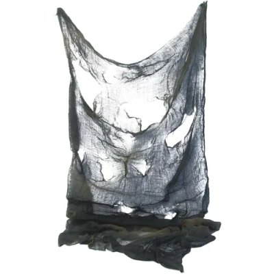 Afbeelding van Dressing Up &amp; Costumes Halloween Creepy Cloth