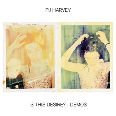 Afbeelding van P.J. Harvey Is This Desire? Demos (LP)