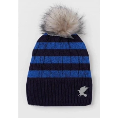 Afbeelding van Harry Potter Ravenclaw Beanie One Size Fits All