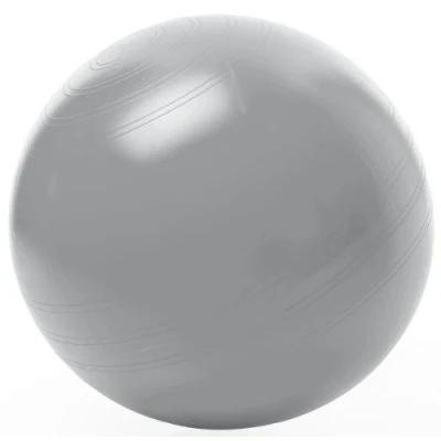 Afbeelding van Togu Zitbal ABS 55 cm zilver