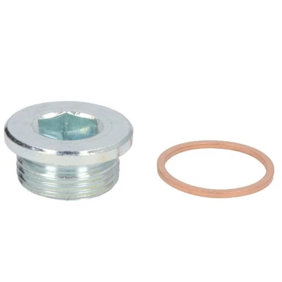 Afbeelding van Elring Olie aftapplug / carterplug 877.910