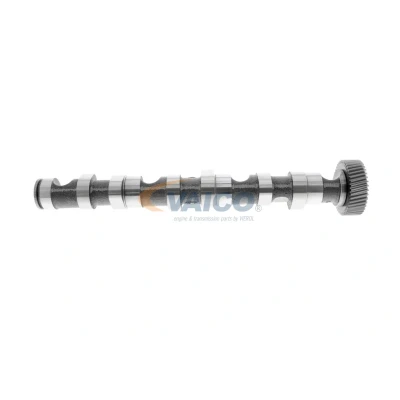 Afbeelding van Nokkenas VAICO V10 0869