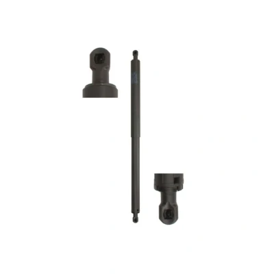 Afbeelding van Stabilus Gasveer 832460