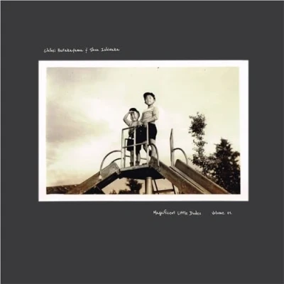Afbeelding van Chihei Hatakeyama &amp; Shun Ishiwaka Magnificent Little Dudes Vol. 1 (CD)