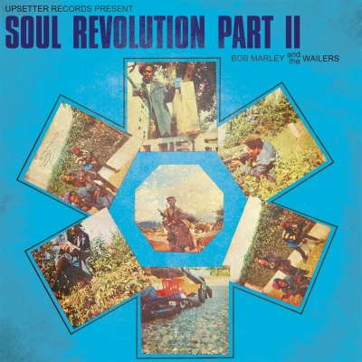 Afbeelding van Bob Marley &amp; The Wailers Soul Revolution Part Ii