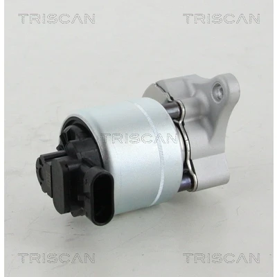 Afbeelding van Triscan EGR klep 8813 28008