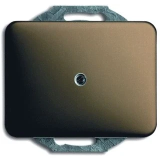Afbeelding van BJ 1749 21 CPL 1 X UITBOR 10MM A BRONS