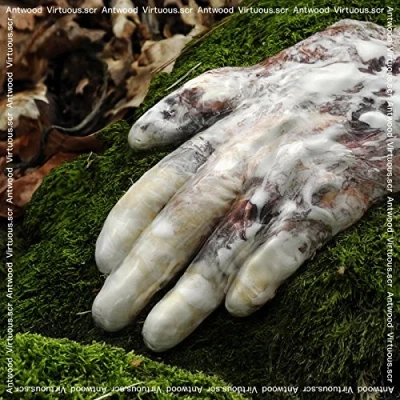 Afbeelding van Antwood Virtuous Scr (CD)