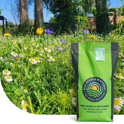 Afbeelding van Flower Field Graszaad Met Bloemenmix 2 KG 100 m² MRS Seeds &amp; Mixtures