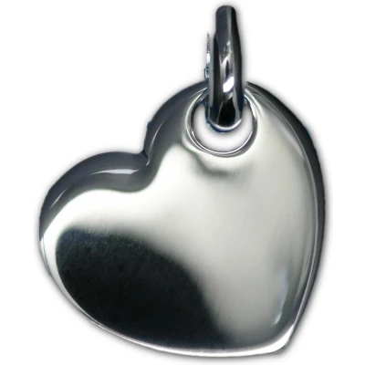 Afbeelding van hanger in zilver