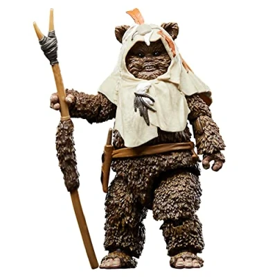 Afbeelding van Hasbro Star Wars Actiefiguur Paploo 15 cm Episode VI 40th Anniversary Black Series Multicolours