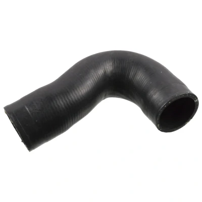 Afbeelding van Febi Bilstein Laadlucht /turboslang 102671