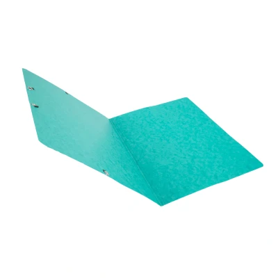 Afbeelding van EXACOMPTA Elastomap Nature Future zonder kleppen A4, 400 g/m², groen (verpakking 25 stuks)