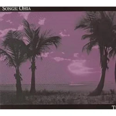 Afbeelding van Songs: Ohia Lioness (LP)