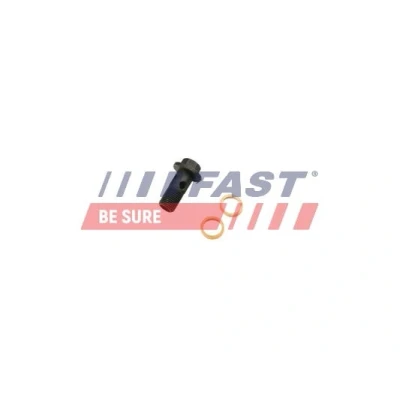 Afbeelding van FAST FT38931 Banjobout, turbolader