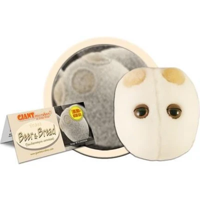 Afbeelding van Beer &amp; Bread yeast (saccharomyces cerevisiae)
