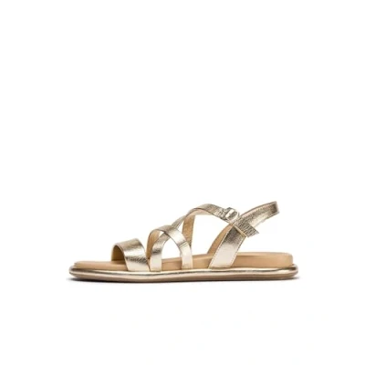Afbeelding van Wonders Sandalen, Dames, Maat: 36, Metallic Schoenen