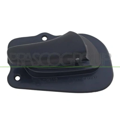 Afbeelding van Handgreep, interieur PRASCO OP0288401