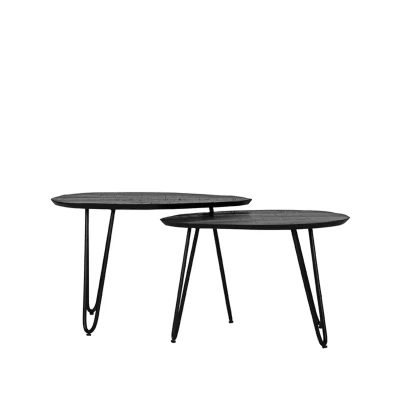 Afbeelding van LABEL51 Frisk salontafel mangohout zwart set van 2 Hout