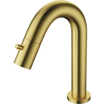 Afbeelding van Fonteinkraan Aquasplash Colorato 19.5 cm Geborsteld Goud