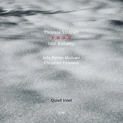 Afbeelding van Thomas Strønen &amp; Iain Ballamy Quiet Inlet Ft. Molvaer Fennesz (CD)
