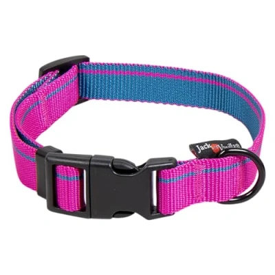 Afbeelding van Jack and Vanilla Halsband Roze Hondenhalsband met kliksluiting Stripe L 31 t/m 47 cm