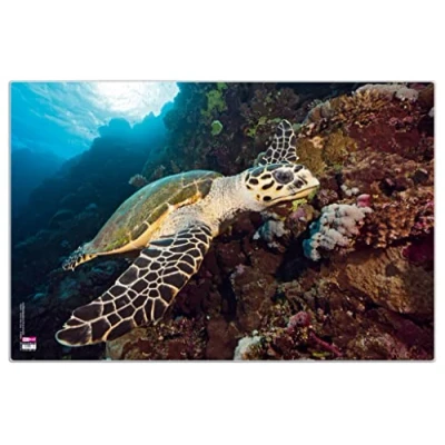Afbeelding van VELOFLEX 4651097 Bureaulegger schildpad, 40 x 60 cm, antislip, afwasbaar, met transparante antireflecterende beschermfolie, bureaulegger, schildersmat, knutselmat, 1 stuk