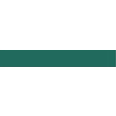 Afbeelding van Prym 903843 biasband Duchesse 40/20 mm groen, 100% PES, vouwen