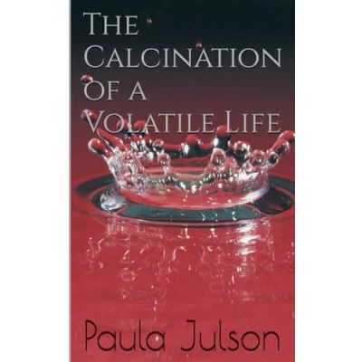 Afbeelding van The Calcination Of A Volatile Life
