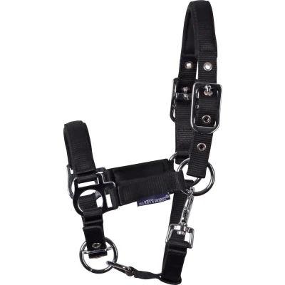 Afbeelding van Harry&#039;s Horse Veulenhalster Padded