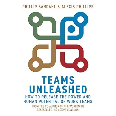 Afbeelding van Teams Unleashed: How to Release the Power and Human Potential of Work