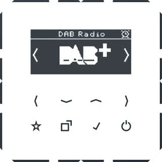 Afbeelding van Jung radio dabcdww