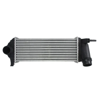 Afbeelding van Magneti Marelli Interkoeler 351319205510