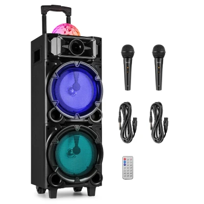 Afbeelding van Fenton LIVE290 karaoke box Met Bluetooth 2 microfoons,