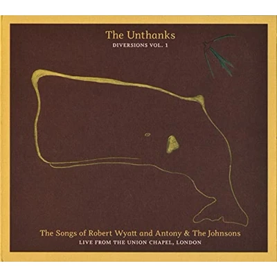 Afbeelding van The Songs Of Robert Wyatt And Antony &amp; Johnsons Live From Union Chapel. London (Diversions Vol.1)