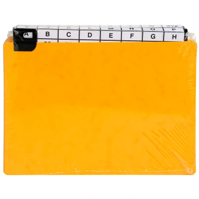 Afbeelding van Paquet de 24 guides alphabetiques 5/10eme a onglets metalliques pour un classement en largeur 148x21